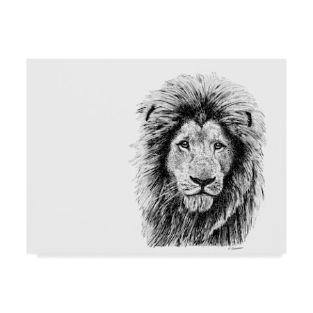 Let Your Art Soar 'Lion Line Art' Canvas Art,24x32